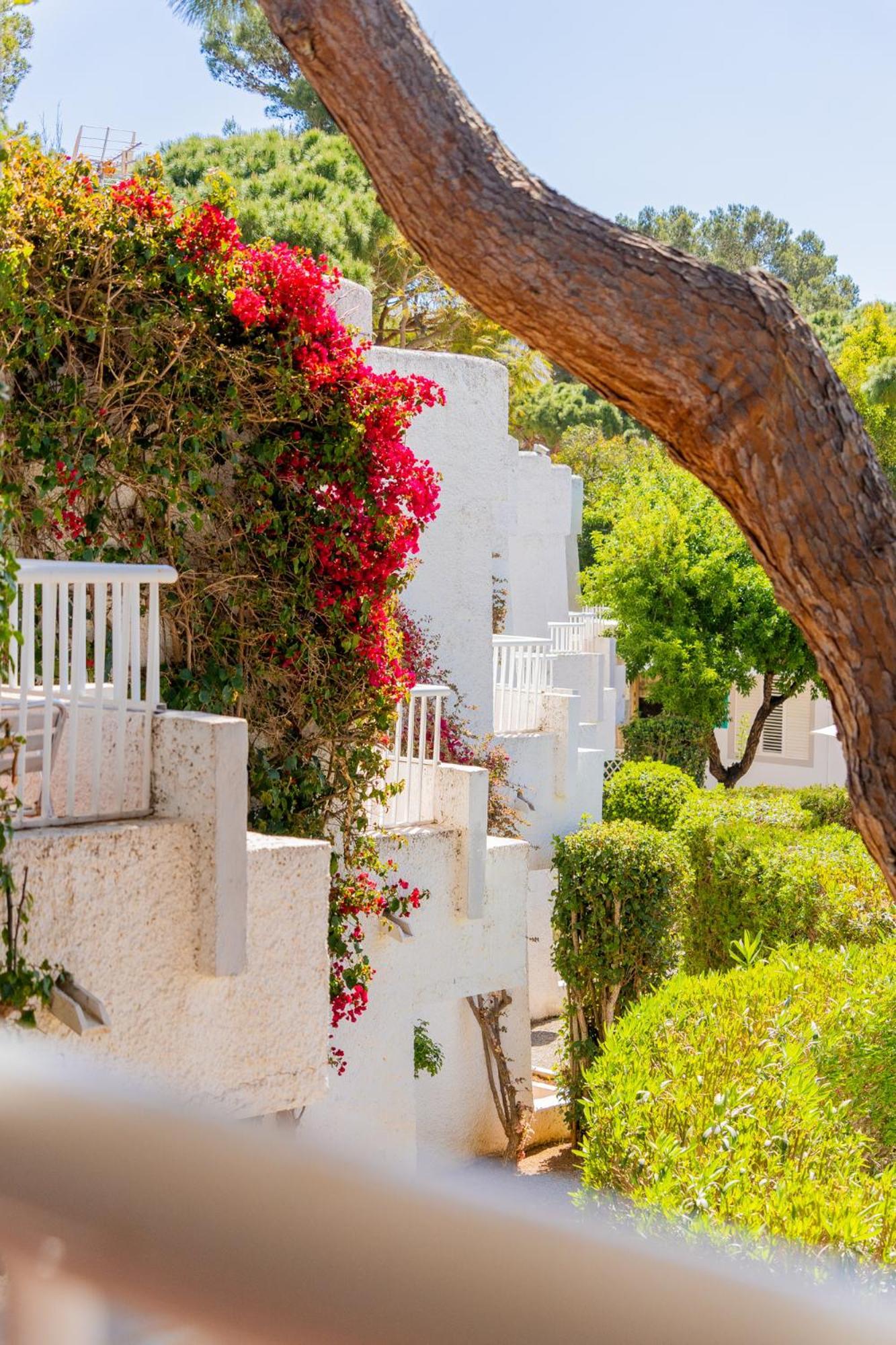 Atlas Apartments Ibiza Santa Eularia des Riu Ngoại thất bức ảnh